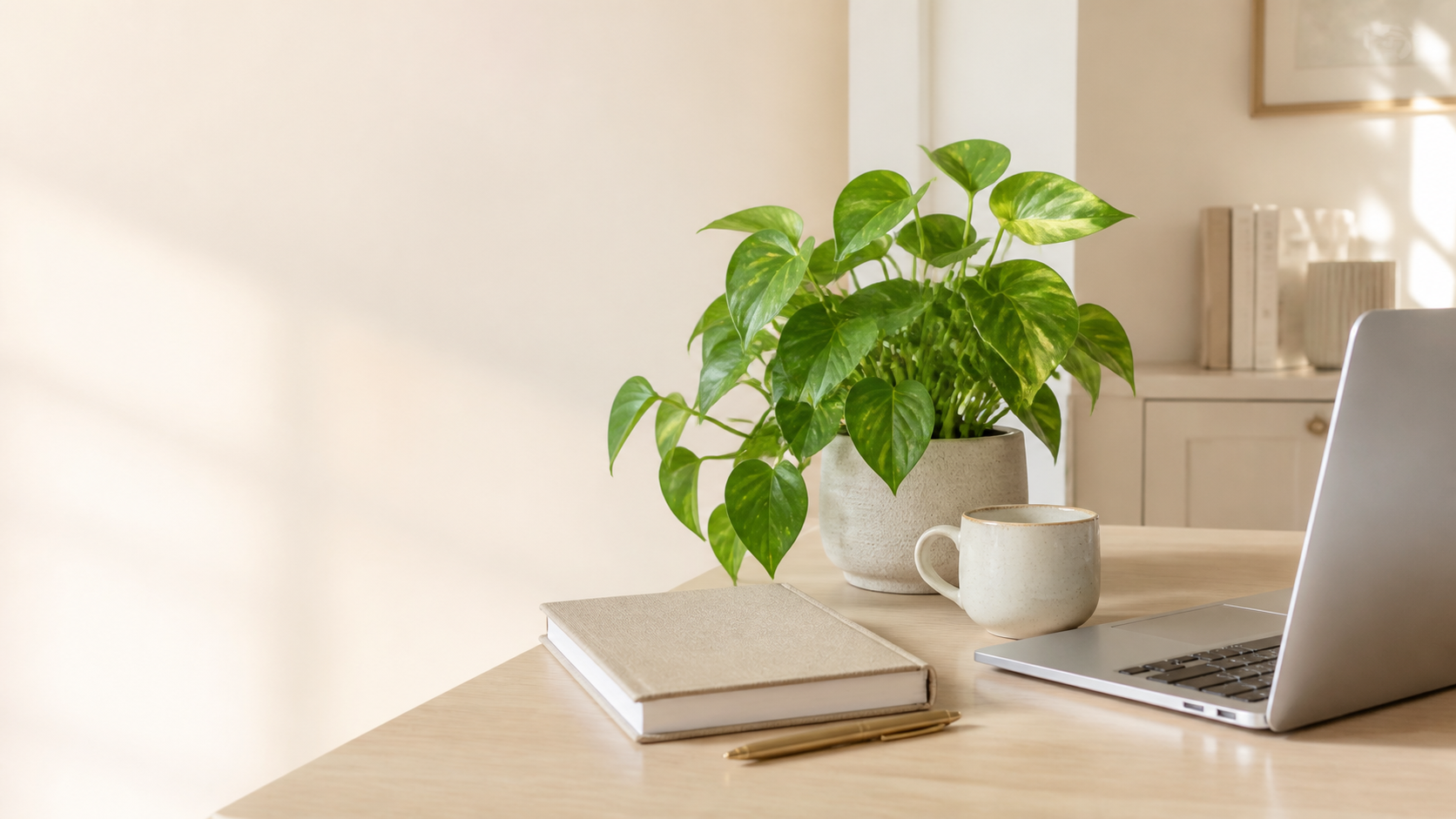 Heller Arbeitsplatz mit grüner Tischpflanze, Planer, Kaffeetasse und Laptop
